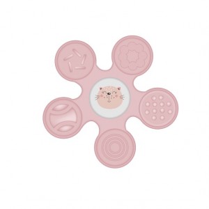 Robins Water Teether